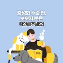 맘스동물의료센터 이미지