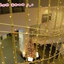 우리바다세꼬시 이미지