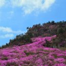 대금산진달래길(등산) 이미지