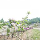 대관령 지니하우스 이미지