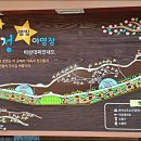 작천정별빛야영장 이미지