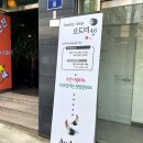 오드리4.6 이미지