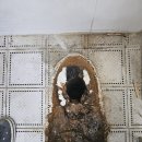 대림설비 네이버블로그