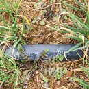 복남 농장 이미지