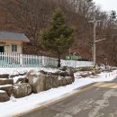 소백산자락길 제5코스 Daum카페
