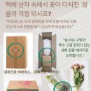 작약꽃다발 온라인 주문 후기 미르보나 생화택배 사라작약
