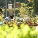 가막들공원 이미지