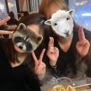 이ㄷ따 이미지