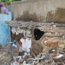 관악-현장-관악-3251 이미지