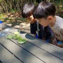 해여울어린이집 이미지