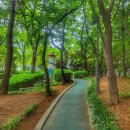 아랫말어린이공원 네이버블로그