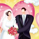 웨디안결혼정보 이미지