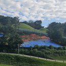 신기리 고분군 이미지