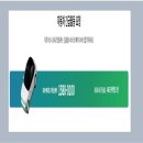 프로미자주카 이미지