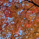 당촌초교 옆 이미지