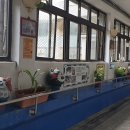 고양이마을 이미지