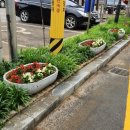 광덕면 행정복지센터 이미지