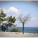 해양레일바이크 용화역 이미지