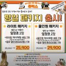 청수매점 | 인천 쥬벅스 실내동물원 후기 | 주차, 가격, 주말 오픈런으로 두돌아기랑 다녀온 교감 체험