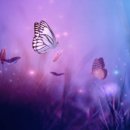 냥이의꿈 이미지