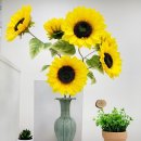 신내역공인중개사사무소 이미지