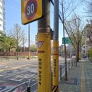 244 이미지