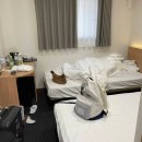 스카이약국 | 아사쿠사 숙소 추천 | 스카이트리 뷰 ano Hotel asakusa 내돈내산 후기