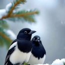 동아1차세탁소 이미지