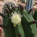 신목농장 이미지