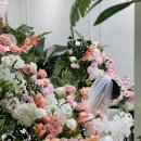 린수선 | w. 셀린아뜰리에(Celineatelier)_본식 후기 (+어두운홀/미카도실크/슬림/헬퍼님추천)