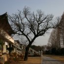 지장암 - 1254 | 지장암