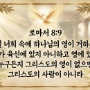 그리스도의 사람(롬8:9)에게 나타나는 열매들 이미지