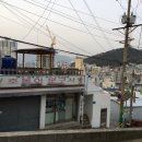 호돌이문구사