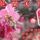 오늘도행복