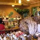 마당곤드레밥 이미지