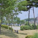 국화황토공원 이미지