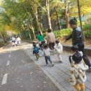 상동우체국 이미지