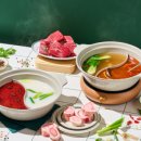 샤브올데이 이미지