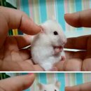이** 이미지