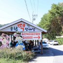 송천떡마을야영장 이미지
