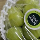 상주우체국 | 상주 제철 샤인머스켓 2kg 산지직송 보관방법 내돈내산 택배 구매 후기