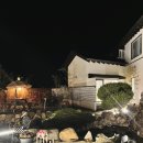 카페더피플 | 광주 효천지구 맛집 애견동반 카페 조선피플 후기