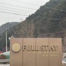 풀스테이더네이쳐홍천C | 강원도 홍천 애견동반 독채 자쿠지 숙소 추천! 풀스테이 더네이처 힐링 여행