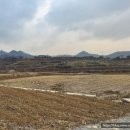 하리민박 이미지