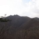 곰치휴게소