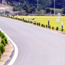 밤두둑마을 이미지