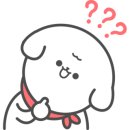 뚱이애견 이미지