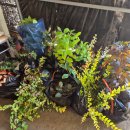 김길수농장 이미지