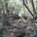 일도 농장 이미지