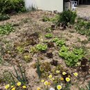 후포고여사민박 이미지